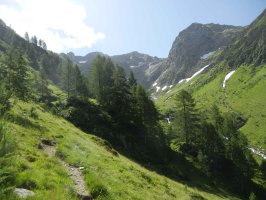 auf der Alpe di Valleggia
