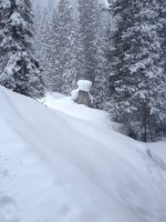Tag 4 der Schneefall hat eine Schwarzwälderkirschtorte auf einen Fels am Lindauer-Hütte-Weg gezaubert