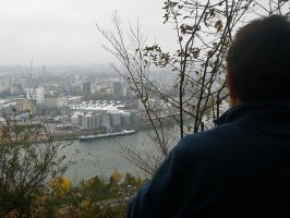 Blick vom Hörnli auf den Rheinhafen