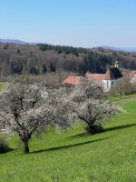Kloster Olsberg (heute Schule)